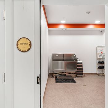 A dog wash station is located in the corner of a room.